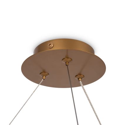 Maytoni MOD317PL-06G - Lestenec na vrvici BALANCE 6xG9/40W/230V baker