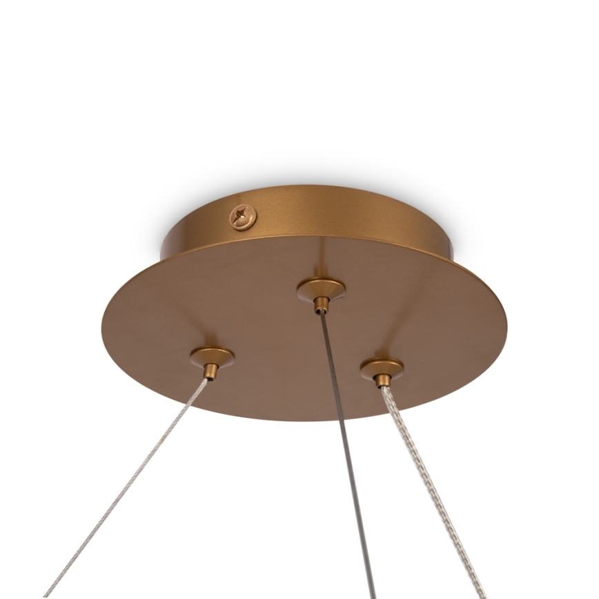 Maytoni MOD317PL-06G - Lestenec na vrvici BALANCE 6xG9/40W/230V baker