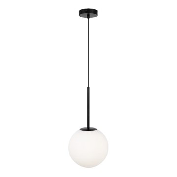 Maytoni MOD321PL-01B1 - Lestenec na vrvici BASIC 1xE14/40W/230V črna