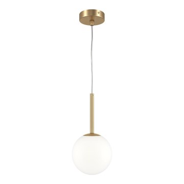 Maytoni MOD321PL-01G1 - Lestenec na vrvici BASIC 1xE14/40W/230V zlata