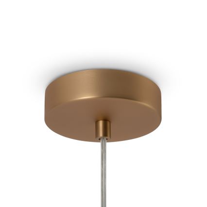 Maytoni MOD321PL-01G1 - Lestenec na vrvici BASIC 1xE14/40W/230V zlata