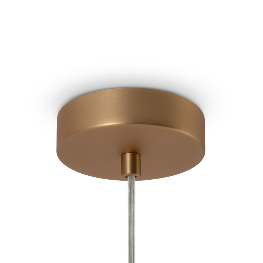 Maytoni MOD321PL-01G1 - Lestenec na vrvici BASIC 1xE14/40W/230V zlata