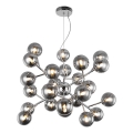 Maytoni MOD545PL-24CH - Lestenec na kablu DALLAS 24xG9/28W/230V, dimno steklo