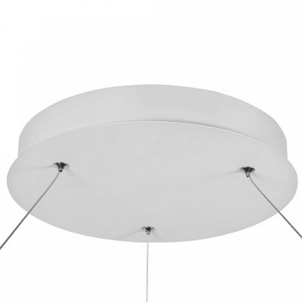 Maytoni MOD807-PL-01-70-W - LED Lestenec na vrvici NOLA LED/70W/230V
