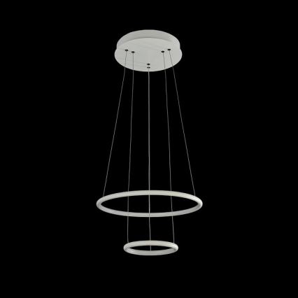 Maytoni MOD807-PL-02-36-W - LED Lestenec na vrvici NOLA LED/36W/230W