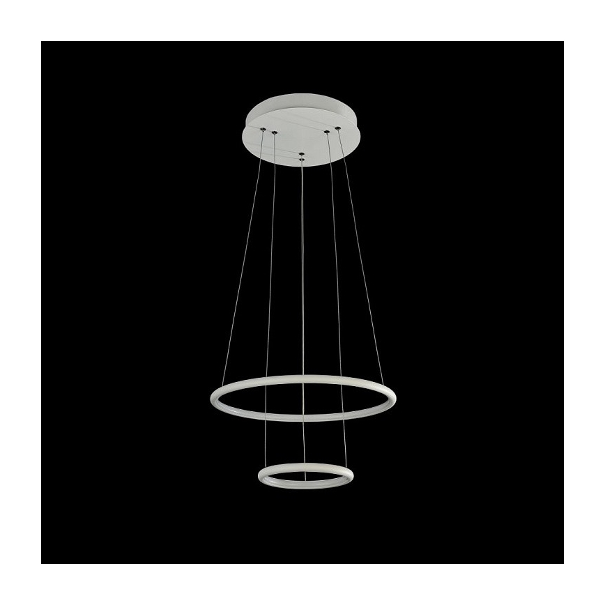 Maytoni MOD807-PL-02-36-W - LED Lestenec na vrvici NOLA LED/36W/230W