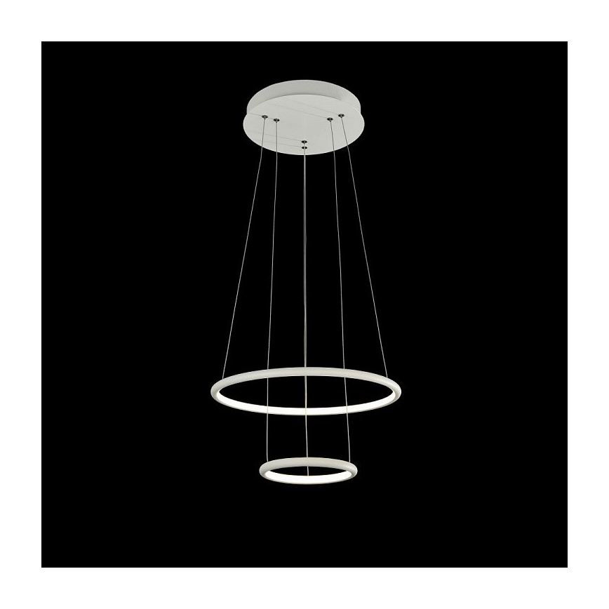 Maytoni MOD807-PL-02-36-W - LED Lestenec na vrvici NOLA LED/36W/230W