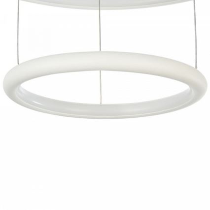 Maytoni MOD807-PL-02-36-W - LED Lestenec na vrvici NOLA LED/36W/230W