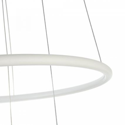 Maytoni MOD807-PL-02-36-W - LED Lestenec na vrvici NOLA LED/36W/230W
