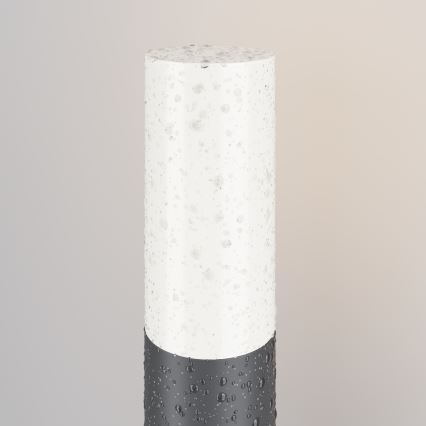 Maytoni O418FL-01GR1 - Zunanja svetilka WILLIS 1xE27/60W/230V 80 cm IP54 antracit