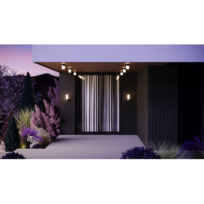 Maytoni O418WL-01GR - Zunanja stenska svetilka WILLIS 1xE27/60W/230V IP54 antracit