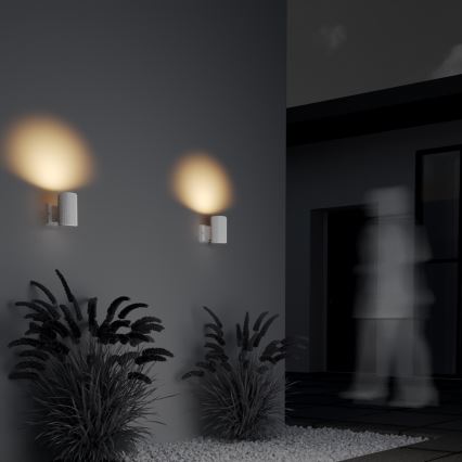 Maytoni O419WL-01W - Zunanja stenska svetilka RANDO 1xE27/60W/230V IP54 bela