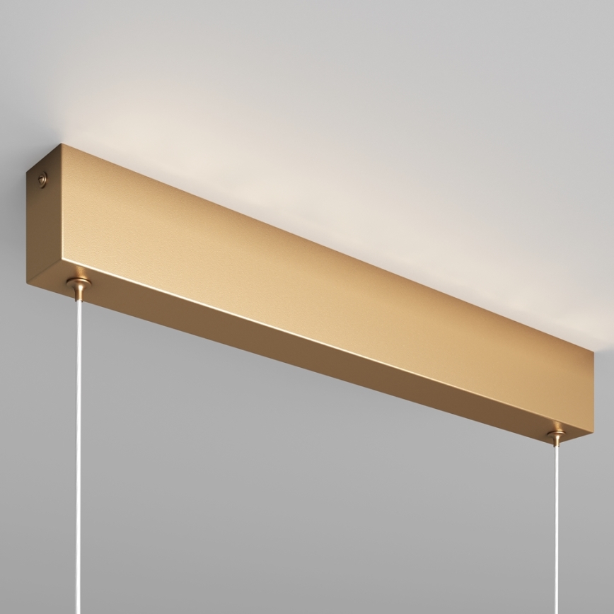 Maytoni P010PL-L23G3K - LED Lestenec na vrvici STEP LED/23W/230V 3000K 91 cm zlata