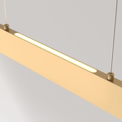 Maytoni P010PL-L23G3K - LED Lestenec na vrvici STEP LED/23W/230V 3000K 91 cm zlata