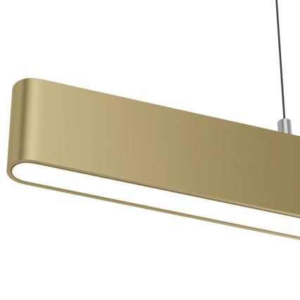 Maytoni P010PL-L23G3K - LED Lestenec na vrvici STEP LED/23W/230V 3000K 91 cm zlata