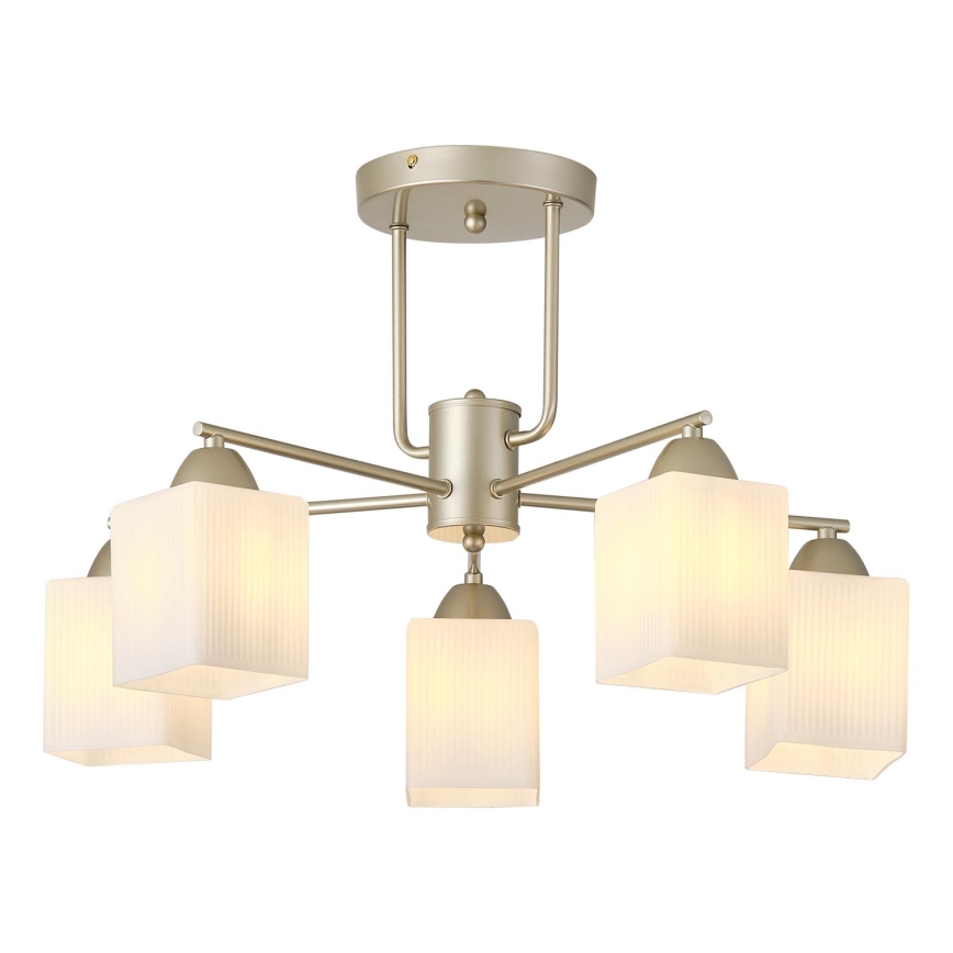 Nadgradni lestenec 5xE27/60W/230V