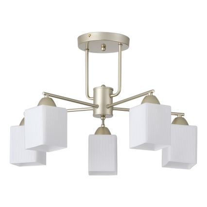 Nadgradni lestenec 5xE27/60W/230V
