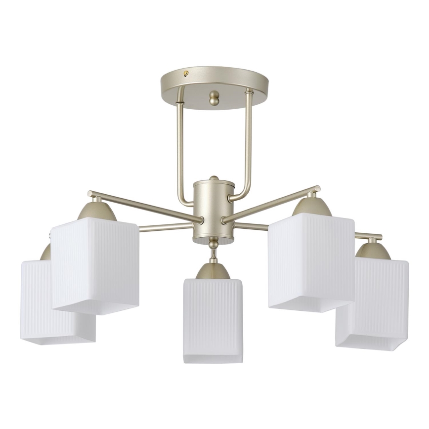 Nadgradni lestenec 5xE27/60W/230V