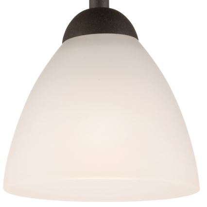Nadgradni lestenec ADRIANO 1xE27/60W/230V bukev