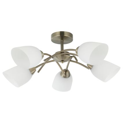 Nadgradni lestenec DONNA 5xE27/60W/230V patina