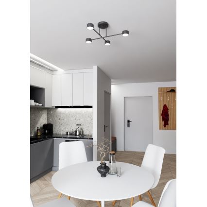 Nadgradni lestenec HALO 4xGX53/10W/230V črna