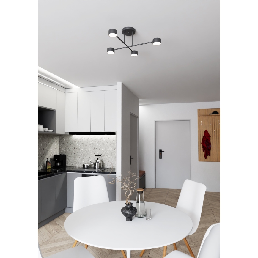 Nadgradni lestenec HALO 4xGX53/10W/230V črna