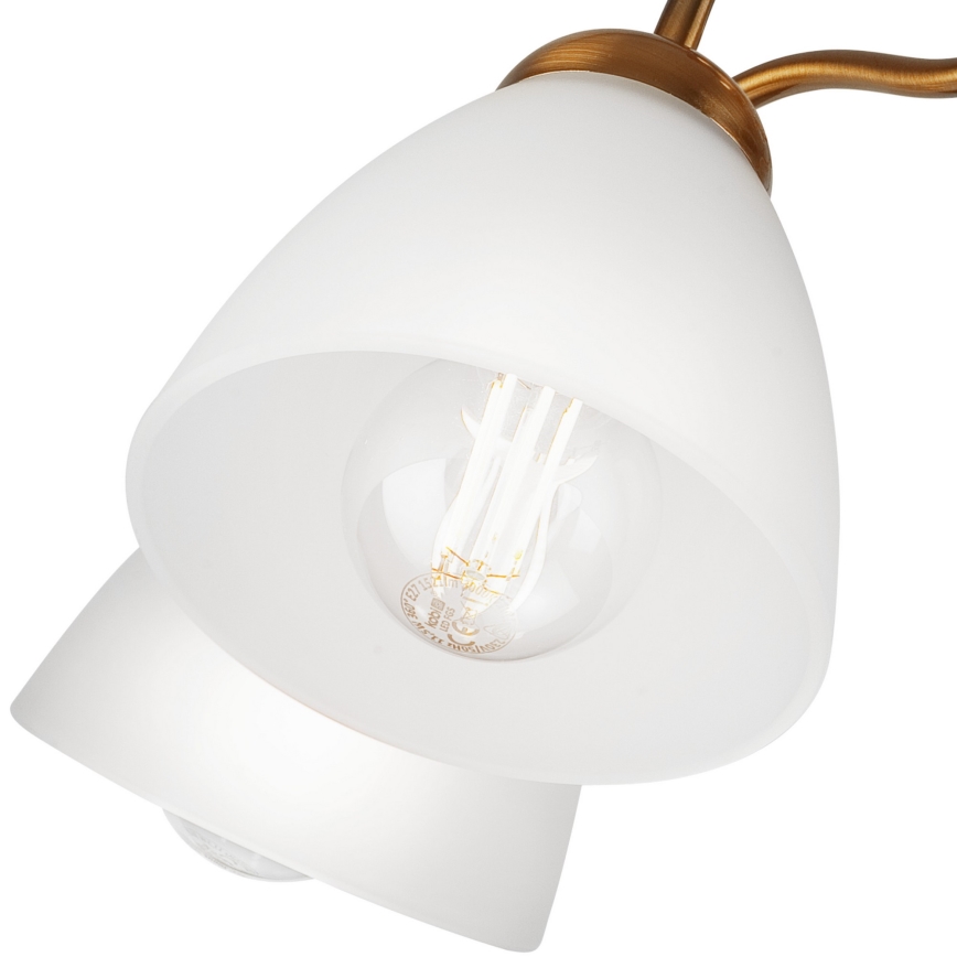 Nadgradni lestenec MIRANDA 5xE27/60W/230V zlata