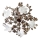 Nadgradni lestenec SIENNA 5xE14/40W/230V