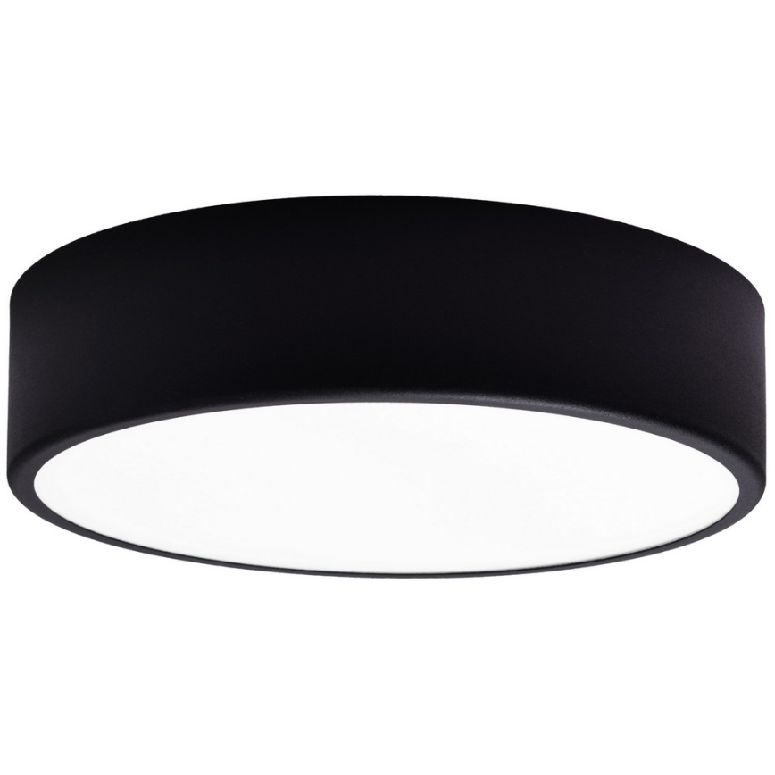 Nadomestno steklo za stropno svetilko CLEO 30 cm steklo