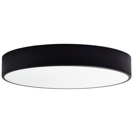 Nadomestno steklo za stropno svetilko CLEO 50 cm steklo