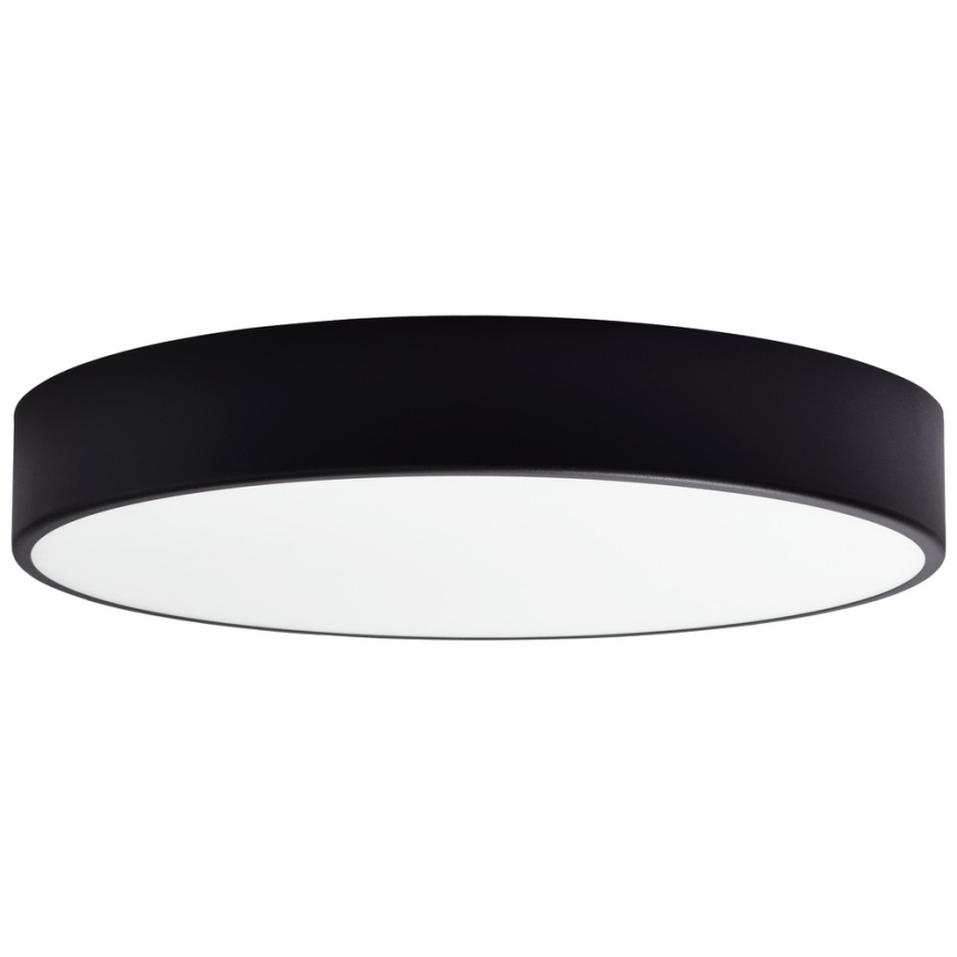 Nadomestno steklo za stropno svetilko CLEO 50 cm steklo