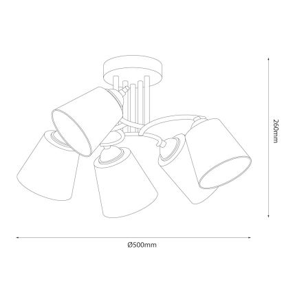 Nadometni lestenec PAFOS 5xE27/15W/230V črna