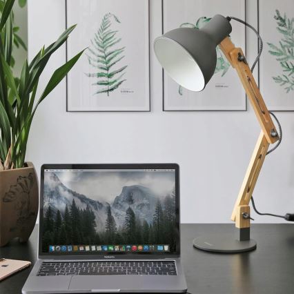 Namizna svetilka 1xE27/40W/230V siva