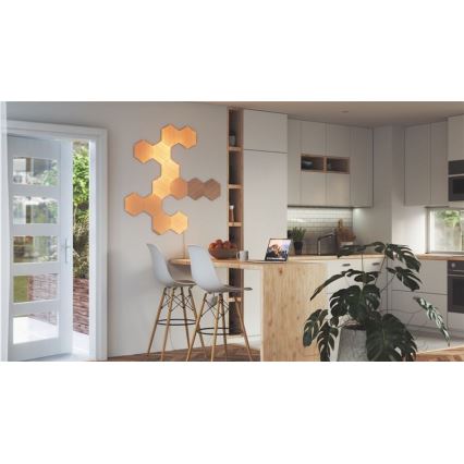 Nanoleaf - SET 13x LED Zatemnitveni panel HEXAGONS LED/2W/230V Wi-Fi