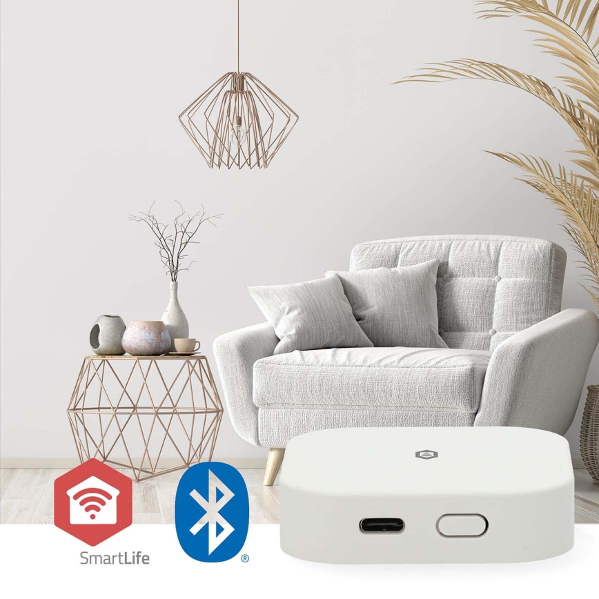 Pametni prehod SmartLife 5V Wi‑Fi