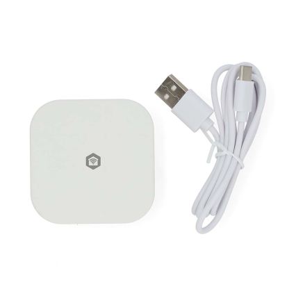 Pametni prehod SmartLife 5V Wi‑Fi