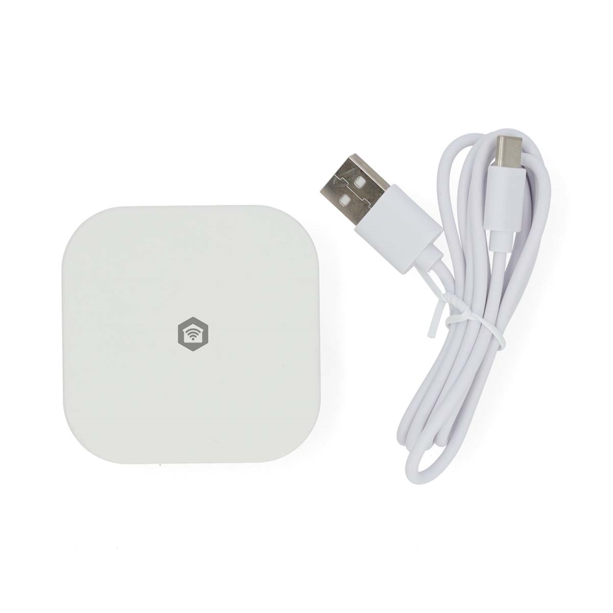 Pametni prehod SmartLife 5V Wi‑Fi
