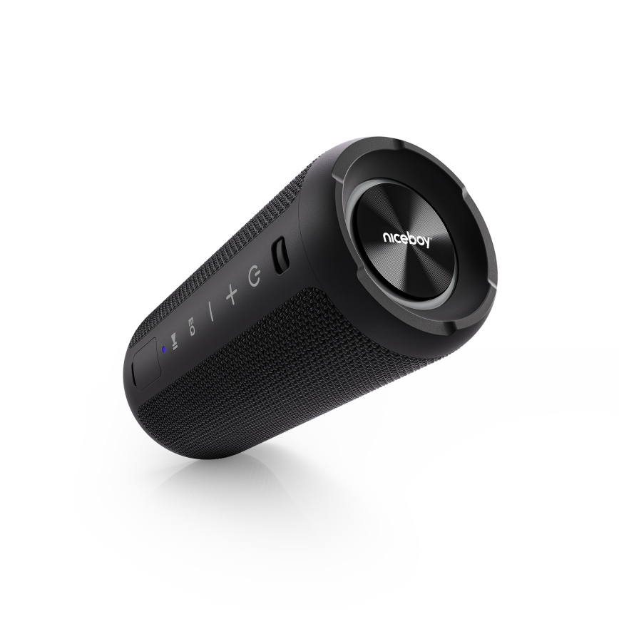 Niceboy Orion - LED Brezžični zvočnik z mikrofonom 24W/2200 mAh IPX7 črna