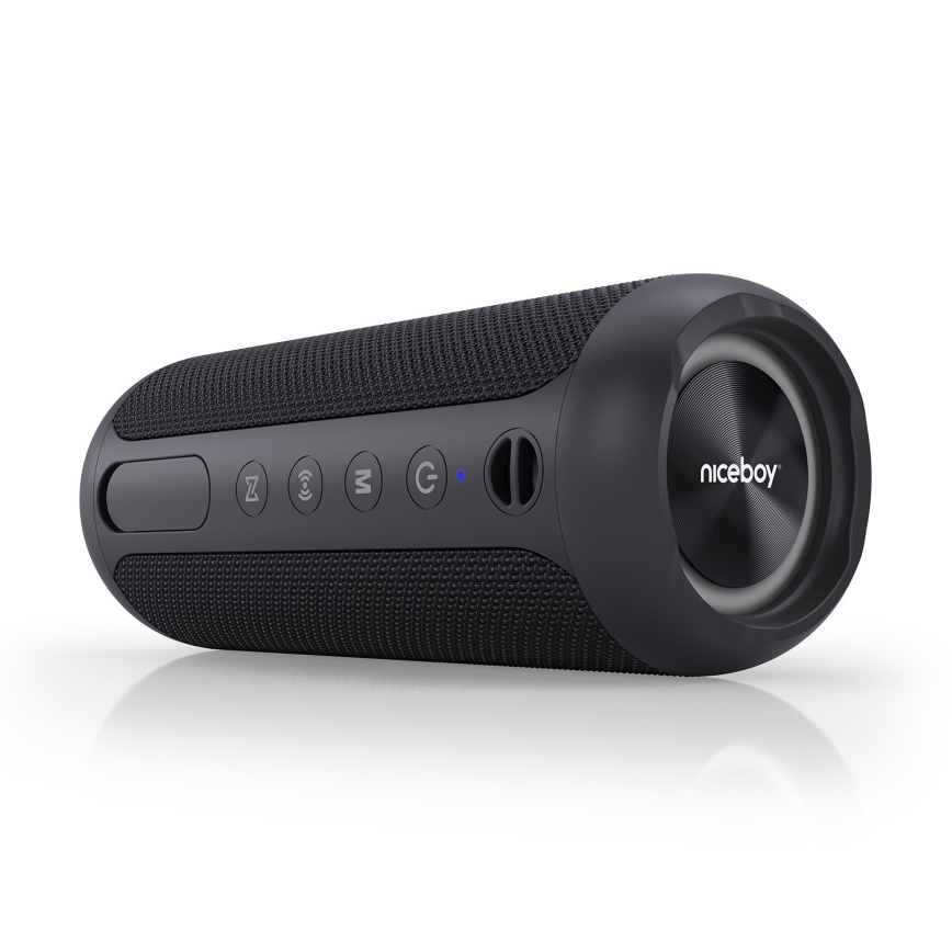 Niceboy Polaris - LED Brezžični zvočnik z mikrofonom 30W/4000 mAh IPX7 črna