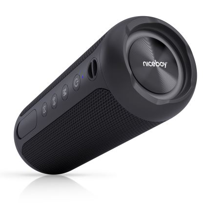 Niceboy Polaris - LED Brezžični zvočnik z mikrofonom 30W/4000 mAh IPX7 črna