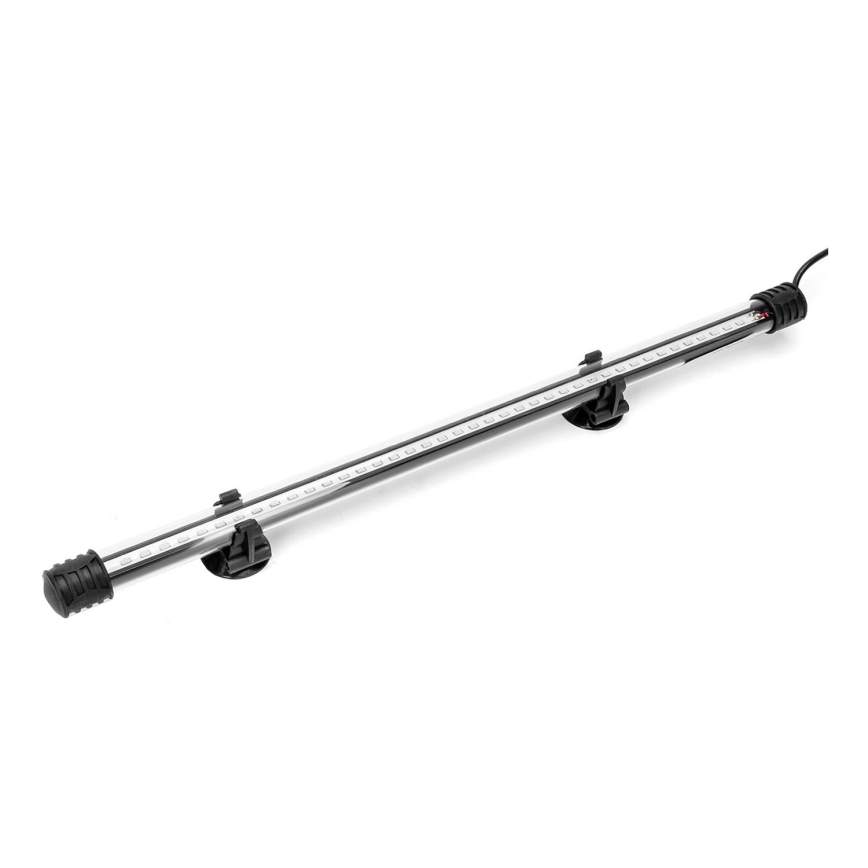 Nobleza - LED Osvetlitev akvarija LED/2W/230V IPX7 40 cm