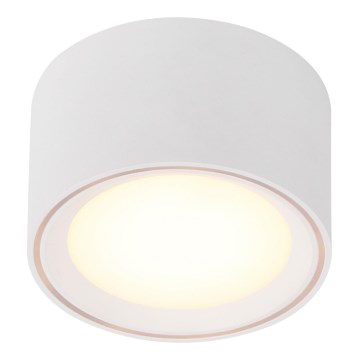 Nordlux - LED zatemnjivo točkovno svetilo FALLON LED/5,5W/230V belo