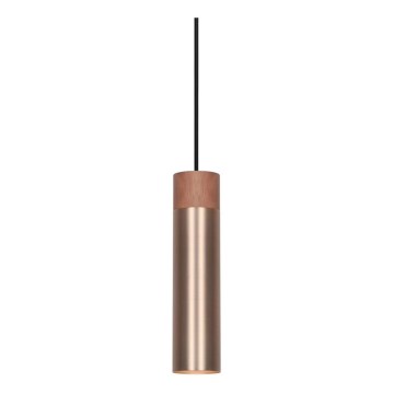 Nordlux - Obesna svetilka na kablu TILO 1xGU10/15W/230V mesing