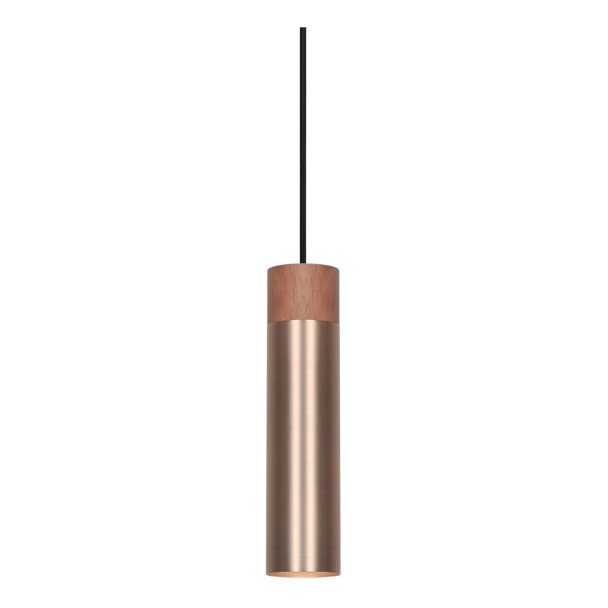 Nordlux - Obesna svetilka na kablu TILO 1xGU10/15W/230V mesing