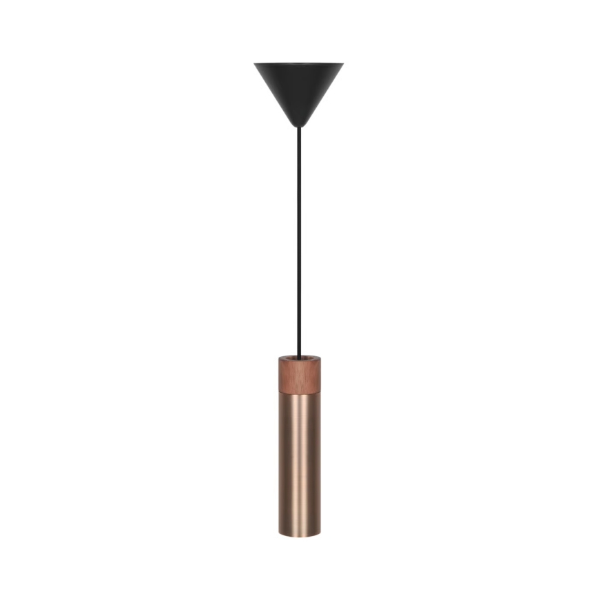 Nordlux - Obesna svetilka na kablu TILO 1xGU10/15W/230V mesing