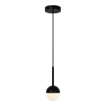 Nordlux - Viseča svetilka na kabel CONTINA 1xG9/5W/230V črna