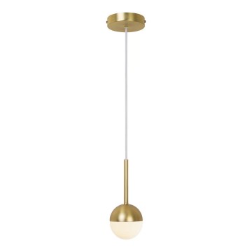 Nordlux - Viseči lestenec CONTINA na kablu 1xG9/5W/230V, medenina