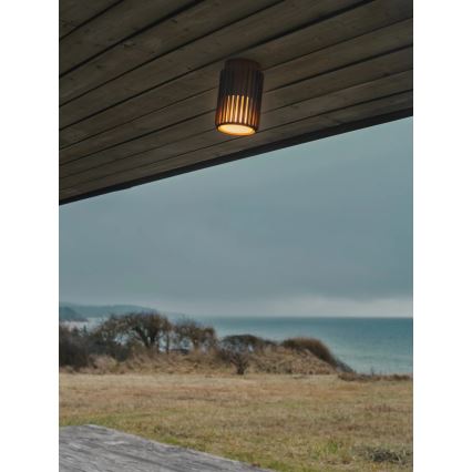 Nordlux - Zunanja stropna svetilka ALUDRA 1xE27/15W/230V rjava