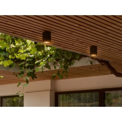Nordlux - Zunanja stropna svetilka KYKLOP 1xGU10/15W/230V IP54 črna