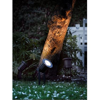 Nordlux - Zunanji reflektor SPOTLIGHT 1xGU10/35W/230V IP54